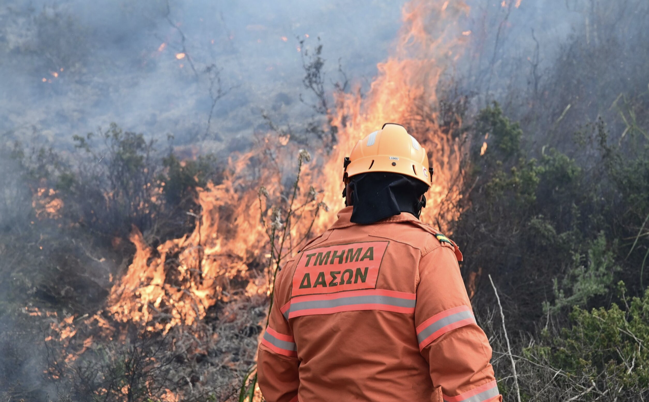&Upsilon;&pi;ό &pi;&lambda;ή&rho;&eta; έ&lambda;&epsilon;&gamma;&chi;&omicron; &delta;&alpha;&sigma;&iota;&kappa;ή &pi;&upsilon;&rho;&kappa;&alpha;&gamma;&iota;ά &sigma;&tau;&omicron;&nu; &Kappa;ά&tau;&omega; &Pi;ύ&rho;&gamma;&omicron; &Tau;&eta;&lambda;&lambda;&upsilon;&rho;ί&alpha;&sigmaf;
