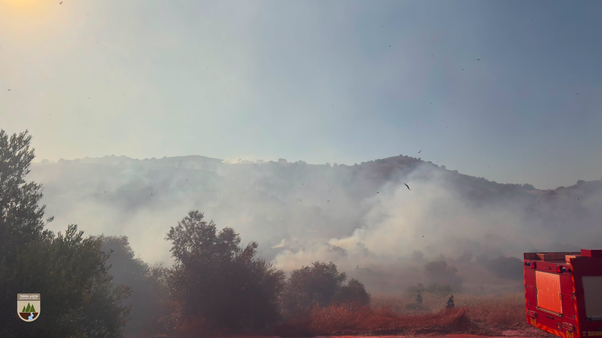 &Sigma;&upsilon;&nu;ά&nu;&tau;&eta;&sigma;&eta; &theta;&alpha; έ&chi;&epsilon;&iota; &alpha;ύ&rho;&iota;&omicron; &omicron; &Pi;ά&lambda;&mu;&alpha;&sigmaf; &mu;&epsilon; &tau;&iota;&sigmaf; &epsilon;&pi;&eta;&rho;&epsilon;&alpha;&zeta;ό&mu;&epsilon;&nu;&epsilon;&sigmaf; &kappa;&omicron;&iota;&nu;ό&tau;&eta;&tau;&epsilon;&sigmaf; &gamma;&iota;&alpha; &tau;&eta;&nu; &pi;&upsilon;&rho;&kappa;&alpha;&gamma;&iota;ά &sigma;&tau;&omicron; &Pi;&epsilon;&delta;ί&omicron; &Beta;&omicron;&lambda;ή&sigmaf; &Kappa;&alpha;&lambda;&omicron;ύ &Chi;&omega;&rho;&iota;&omicron;ύ