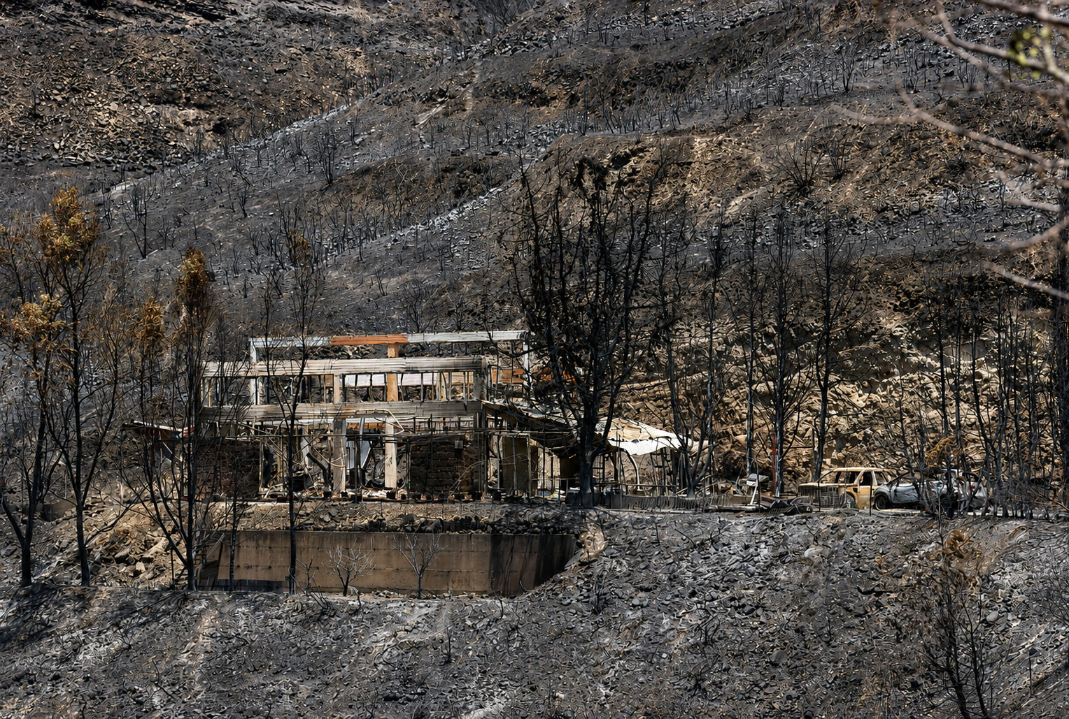 &Eta; &omicron;&iota;&kappa;&omicron;&lambda;&omicron;&gamma;&iota;&kappa;ή &kappa;&alpha;&tau;&alpha;&sigma;&tau;&rho;&omicron;&phi;ή, &omicron;&iota; &alpha;&nu;&omicron;&iota;&kappa;&tau;έ&sigmaf; &pi;&lambda;&eta;&gamma;έ&sigmaf; &kappa;&alpha;&iota; &eta; &pi;&rho;ό&kappa;&lambda;&eta;&sigma;&eta; &tau;&eta;&sigmaf; &alpha;&pi;&omicron;&kappa;&alpha;&tau;ά&sigma;&tau;&alpha;&sigma;&eta;&sigmaf; &sigma;&tau;&alpha; &kappa;&alpha;&mu;έ&nu;&alpha; &tau;&eta;&sigmaf; &omicron;&rho;&epsilon;&iota;&nu;ή&sigmaf; &Lambda;&epsilon;&mu;&epsilon;&sigma;&omicron;ύ