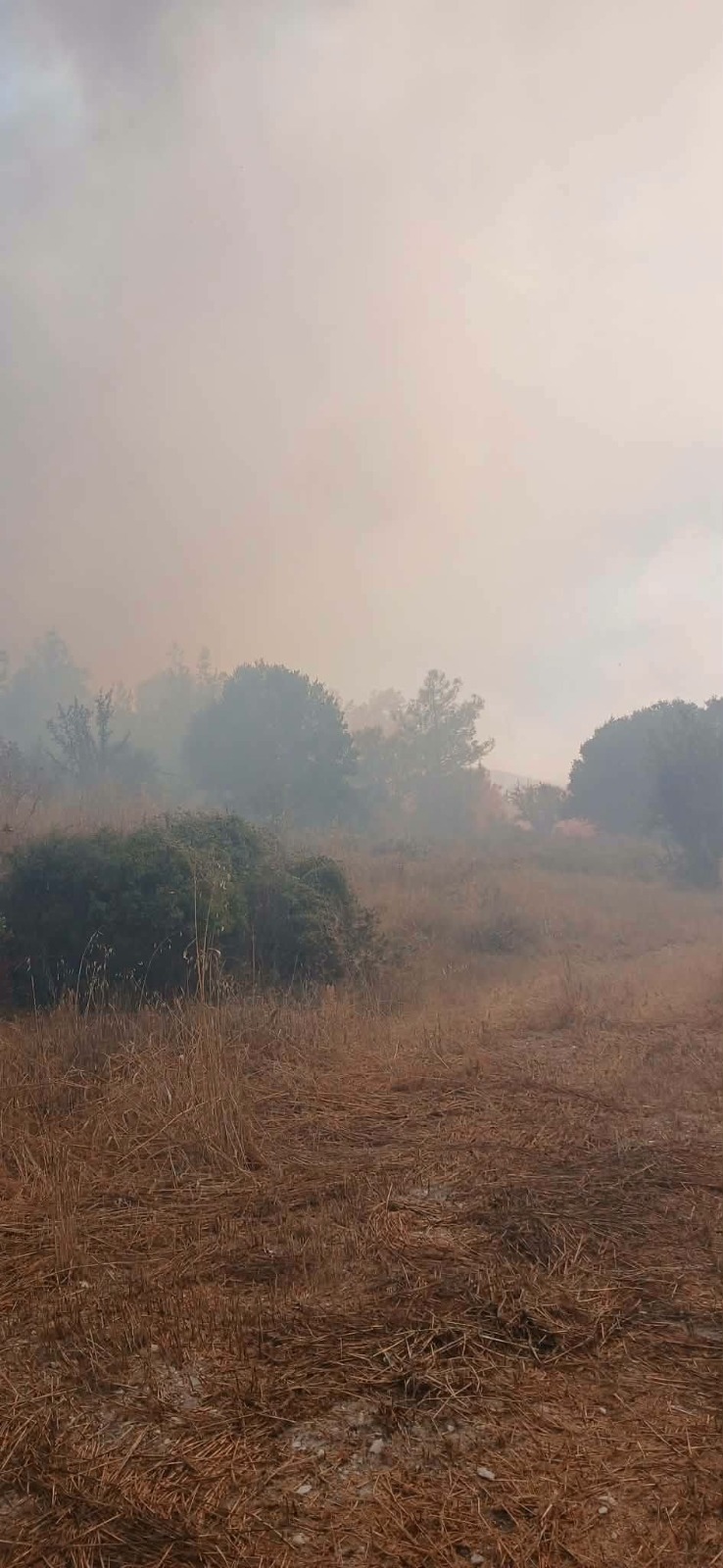 &Delta;&Eta;&Sigma;&Upsilon;: &Zeta;&eta;&tau;ά &pi;&lambda;ή&rho;&eta; &delta;&iota;&epsilon;&rho;&epsilon;ύ&nu;&eta;&sigma;&eta; &gamma;&iota;&alpha; &tau;&eta;&nu; &pi;&upsilon;&rho;&kappa;&alpha;&gamma;&iota;ά &sigma;&tau;&omicron; &Kappa;&alpha;&lambda;ό &Chi;&omega;&rho;&iota;ό &kappa;&alpha;&iota; &tau;&omicron; CY Alert