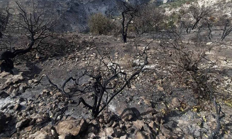 &Tau;&alpha; &alpha;&pi;&omicron;&kappa;&alpha;ΐ&delta;&iota;&alpha; &tau;&omega;&nu; &pi;&upsilon;&rho;&kappa;&alpha;&gamma;&iota;ώ&nu; &kappa;&alpha;&iota; &eta; &alpha;&sigma;&phi;&upsilon;&xi;ί&alpha; &mu;&iota;&alpha;&sigmaf; &kappa;&omicron;&iota;&nu;&omega;&nu;ί&alpha;&sigmaf; &pi;&omicron;&upsilon; &upsilon;&pi;&omicron;&phi;έ&rho;&epsilon;&iota;