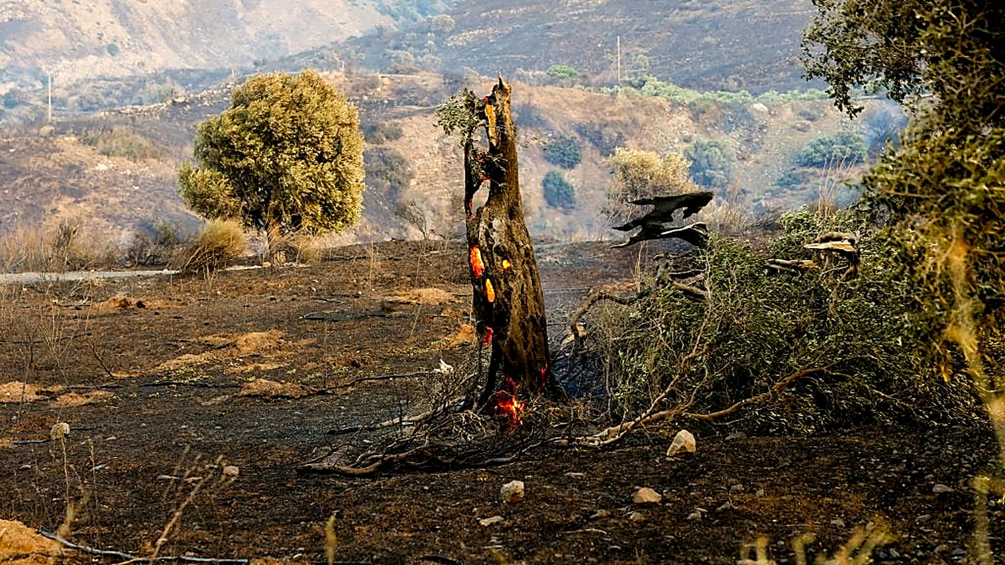 &Delta;ύ&sigma;&kappa;&omicron;&lambda;&eta; &mu;ά&chi;&eta; &mu;&epsilon; &tau;&iota;&sigmaf; &phi;&lambda;ό&gamma;&epsilon;&sigmaf; &sigma;&tau;&eta;&nu; &Kappa;&rho;ή&tau;&eta; - &Theta;&upsilon;&epsilon;&lambda;&lambda;ώ&delta;&epsilon;&iota;&sigmaf; ά&nu;&epsilon;&mu;&omicron;&iota; &kappa;&alpha;&theta;&eta;&lambda;ώ&nu;&omicron;&upsilon;&nu; &tau;&alpha; &epsilon;&nu;&alpha;έ&rho;&iota;&alpha; &mu;έ&sigma;&alpha;