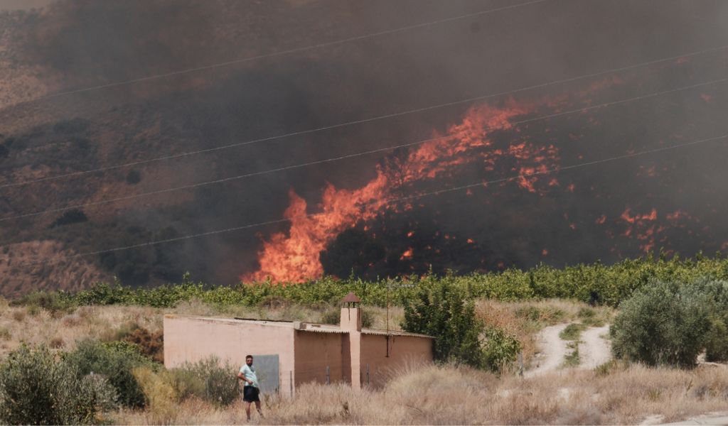 &Phi;&omicron;&nu;&iota;&kappa;ή &pi;&upsilon;&rho;&kappa;&alpha;&gamma;&iota;ά &sigma;&tau;&eta;&nu; &Iota;&sigma;&pi;&alpha;&nu;ί&alpha;: &Tau;&omicron;&upsilon;&lambda;ά&chi;&iota;&sigma;&tau;&omicron;&nu; 12 &nu;&epsilon;&kappa;&rho;&omicron;ί &kappa;&alpha;&iota; 23 &alpha;&gamma;&nu;&omicron;&omicron;ύ&mu;&epsilon;&nu;&omicron;&iota;