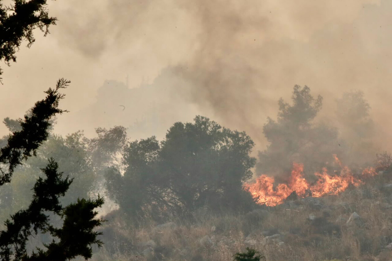 &Pi;&alpha;&rho;&alpha;&nu;ά&lambda;&omega;&mu;&alpha; &tau;&omicron;&upsilon; &pi;&upsilon;&rho;ό&sigmaf; &eta; &Epsilon;&lambda;&lambda;ά&delta;&alpha;: &Sigma;&epsilon; &epsilon;&xi;έ&lambda;&iota;&xi;&eta; &pi;ύ&rho;&iota;&nu;&alpha; &mu;έ&tau;&omega;&pi;&alpha; &sigma;&epsilon; &Beta;&omicron;&iota;&omega;&tau;ί&alpha;, &Alpha;&sigma;&pi;&rho;ό&pi;&upsilon;&rho;&gamma;&omicron;, &Rho;έ&theta;&upsilon;&mu;&nu;&omicron;, &Alpha;&rho;&gamma;&omicron;&lambda;ί&delta;&alpha; &kappa;&alpha;&iota; Ά&rho;&tau;&alpha;