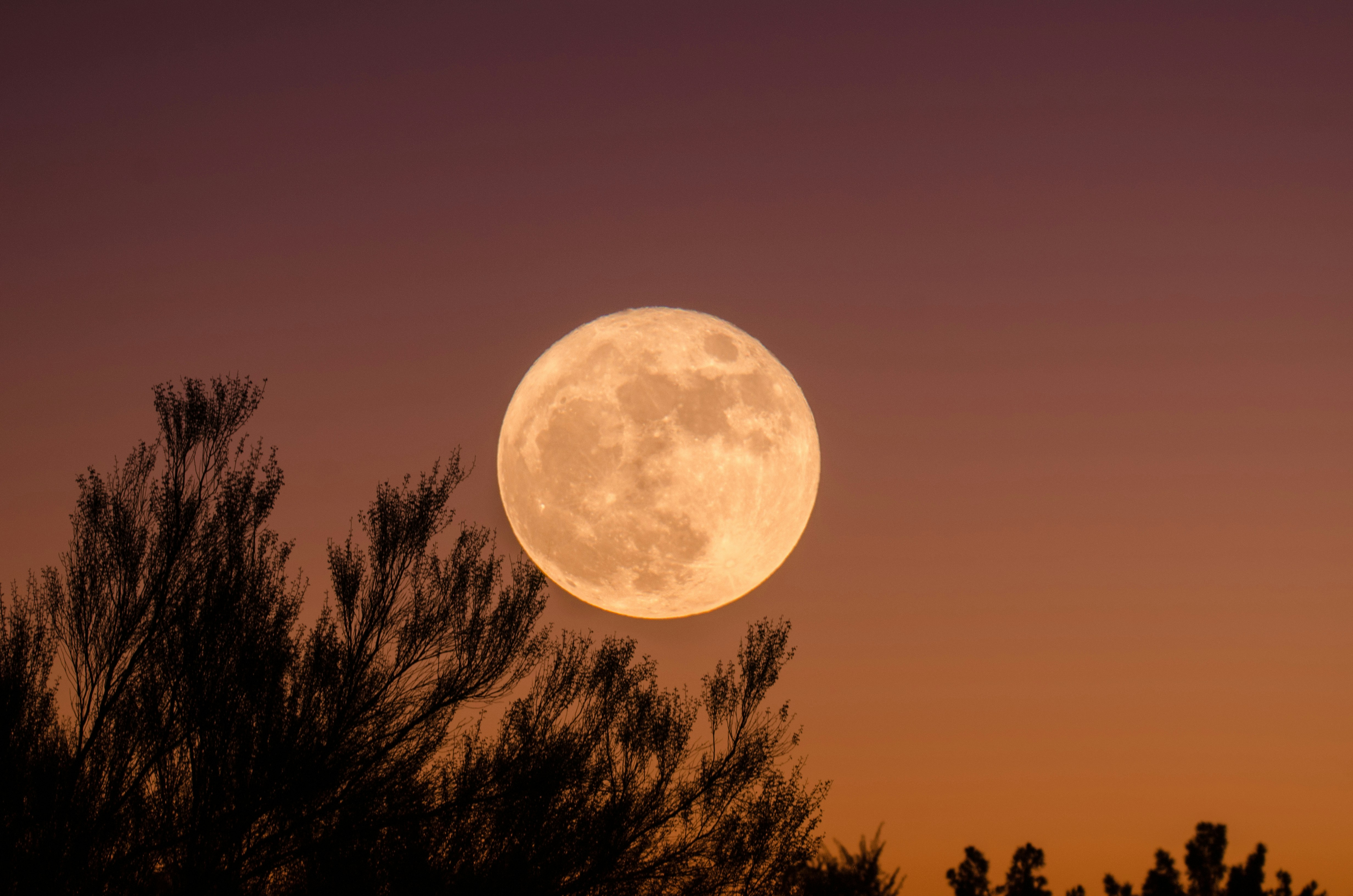 FULL MOON MARKET: &Omicron;&iota; &kappa;&alpha;&lambda;&omicron;&kappa;&alpha;&iota;&rho;&iota;&nu;έ&sigmaf; &nu;ύ&chi;&tau;&epsilon;&sigmaf; &tau;&eta;&sigmaf; &Lambda;ά&rho;&nu;&alpha;&kappa;&alpha;&sigmaf; &alpha;&pi;&omicron;&kappa;&tau;&omicron;ύ&nu; &tau;&omicron; &delta;&iota;&kappa;ό &tau;&omicron;&upsilon;&sigmaf; &mu;&alpha;&gamma;&iota;&kappa;ό &phi;&epsilon;&sigma;&tau;&iota;&beta;ά&lambda;
