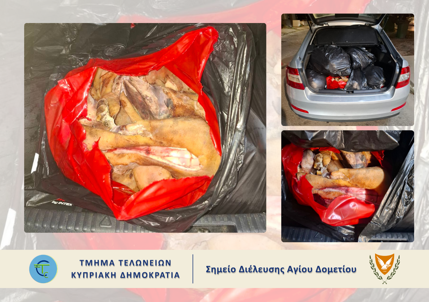 &laquo;&Phi;&omicron;&rho;&tau;&omega;&mu;έ&nu;&omicron;&sigmaf;&raquo; &mu;&epsilon; 245 &kappa;&iota;&lambda;ά &zeta;&omega;&iota;&kappa;ά &pi;&rho;&omicron;ϊό&nu;&tau;&alpha; &pi;έ&rho;&alpha;&sigma;&epsilon; &alpha;&pi;ό &tau;&omicron;&nu; Ά&gamma;&iota;&omicron; &Delta;&omicron;&mu;έ&tau;&iota;&omicron;