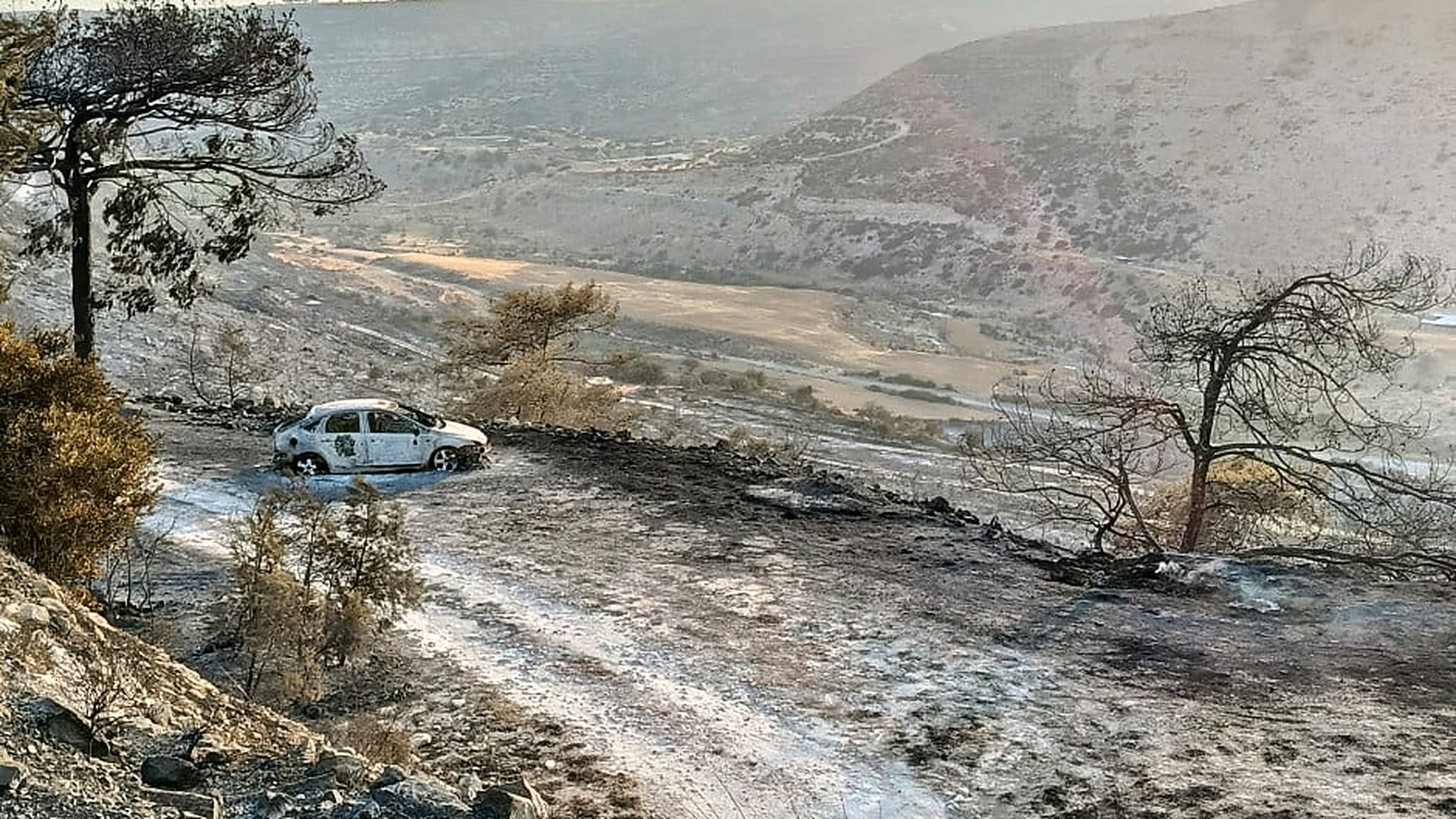 &Pi;&upsilon;&rho;&kappa;&alpha;&gamma;&iota;ά &Omicron;&rho;&epsilon;&iota;&nu;ή&sigmaf; &Lambda;&epsilon;&mu;&epsilon;&sigma;&omicron;ύ: &Pi;&omicron;&iota;&omicron;&iota; &pi;&lambda;&eta;&rho;ώ&theta;&eta;&kappa;&alpha;&nu; &kappa;&alpha;&iota; &pi;&omicron;&iota;&omicron;&iota; &pi;&epsilon;&rho;&iota;&mu;έ&nu;&omicron;&upsilon;&nu; &alpha;&kappa;ό&mu;&alpha;