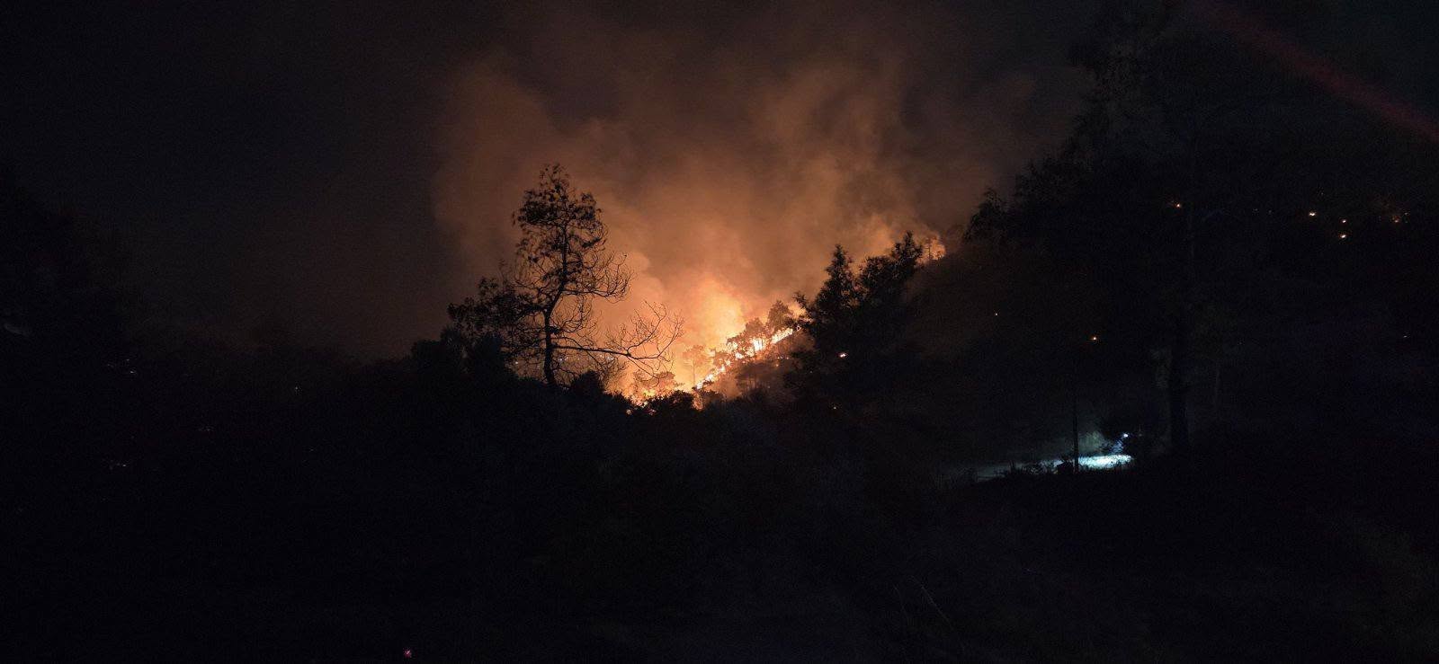 &Pi;&upsilon;&rho;&kappa;&alpha;&gamma;&iota;ά &xi;έ&sigma;&pi;&alpha;&sigma;&epsilon; &tau;&alpha; &chi;&alpha;&rho;ά&mu;&alpha;&tau;&alpha; &sigma;&tau;&omicron; &Pi;&rho;&alpha;&sigma;&tau;&epsilon;&iota;ό &Kappa;&epsilon;&lambda;&lambda;&alpha;&kappa;ί&omicron;&upsilon; &tau;&eta;&sigmaf; &epsilon;&pi;&alpha;&rho;&chi;ί&alpha;&sigmaf; &Lambda;&epsilon;&mu;&epsilon;&sigma;&omicron;ύ (&Phi;ώ&tau;&omicron;&sigmaf;)