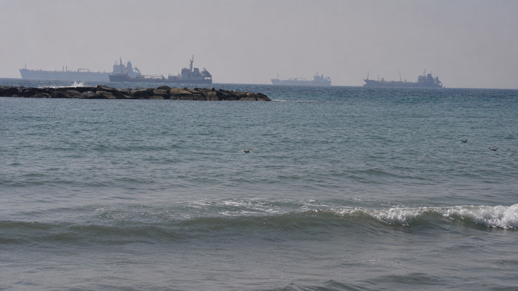&Lambda;&epsilon;&mu;&epsilon;&sigma;ό&sigmaf;: &Kappa;ά&theta;&epsilon; &mu;έ&rho;&alpha; &kappa;&alpha;&iota; &nu;έ&alpha; &kappa;&alpha;&tau;&alpha;&gamma;&gamma;&epsilon;&lambda;ί&alpha; &gamma;&iota;&alpha; &beta;&rho;ώ&mu;&iota;&kappa;&eta; &theta;ά&lambda;&alpha;&sigma;&sigma;&alpha; &ndash; &Omicron;&iota; &pi;&omicron;&lambda;ί&tau;&epsilon;&sigmaf; &delta;&epsilon;ί&chi;&nu;&omicron;&upsilon;&nu; &tau;&omicron; &alpha;&gamma;&kappa;&upsilon;&rho;&omicron;&beta;ό&lambda;&iota;&omicron;