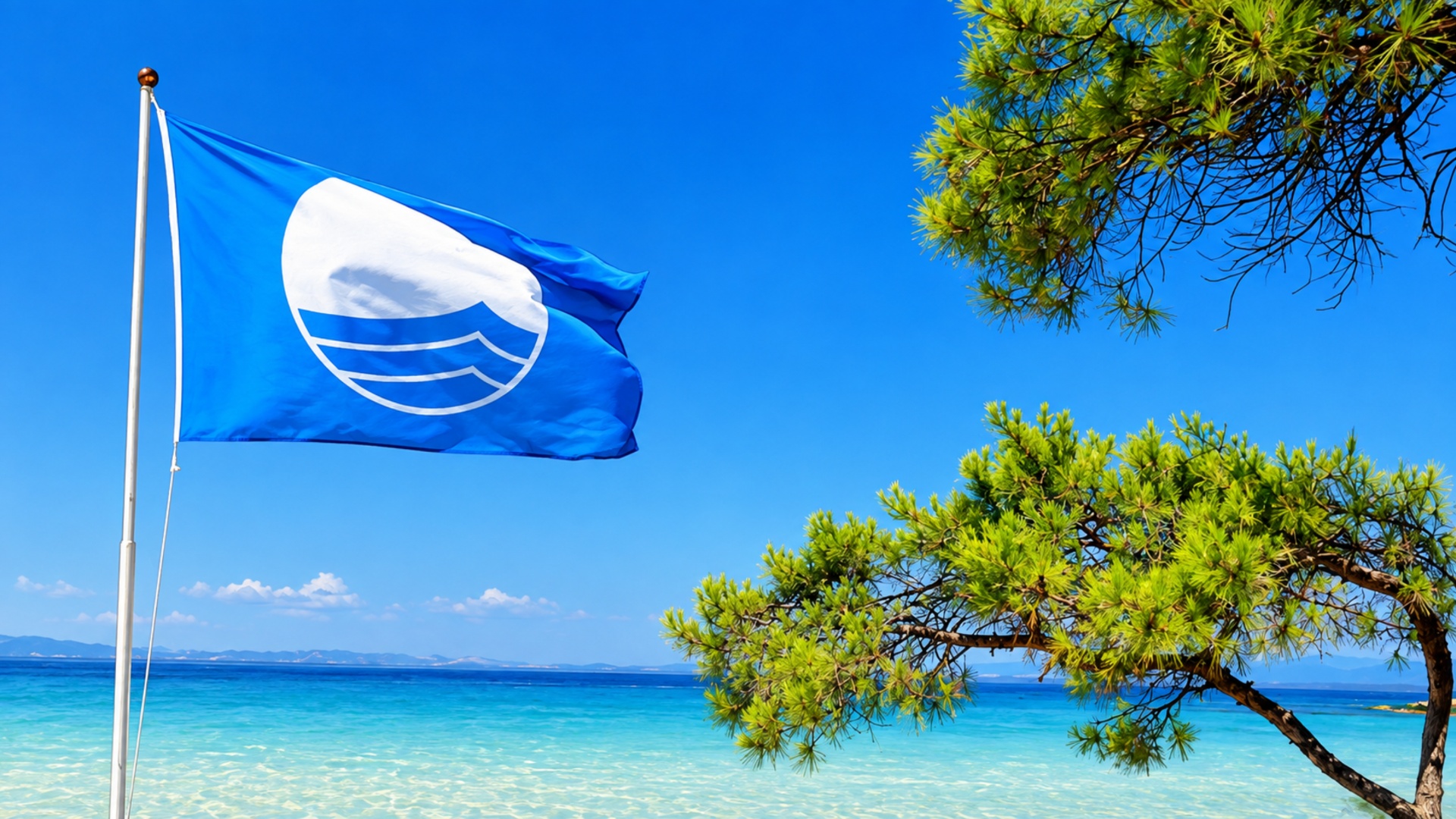 &Gamma;&alpha;&lambda;ά&zeta;&iota;&epsilon;&sigmaf; &Sigma;&eta;&mu;&alpha;ί&epsilon;&sigmaf; &kappa;&alpha;&iota; &Pi;&rho;ά&sigma;&iota;&nu;&alpha; ά&lambda;&omicron;&gamma;&alpha;