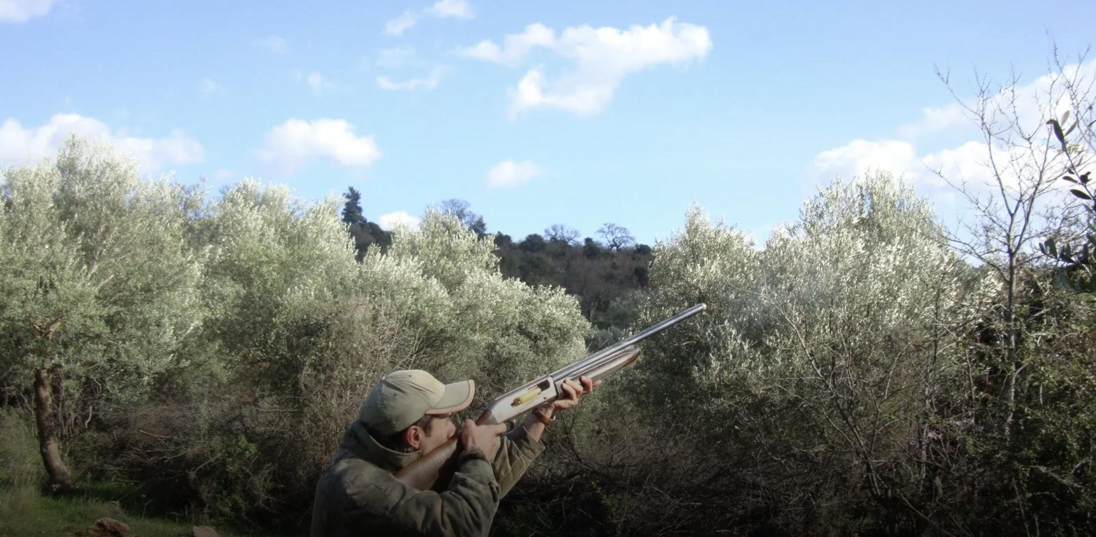 &Pi;&rho;ώ&tau;&eta; &eta;&mu;έ&rho;&alpha; &kappa;&upsilon;&nu;&eta;&gamma;&iota;&omicron;ύ &mu;&epsilon; 12 &kappa;&alpha;&tau;&alpha;&gamma;&gamma;&epsilon;&lambda;ί&epsilon;&sigmaf; &kappa;&alpha;&iota; 300 &epsilon;&lambda;έ&gamma;&chi;&omicron;&upsilon;&sigmaf; &sigma;&epsilon; ό&lambda;&eta; &tau;&eta;&nu; &Kappa;ύ&pi;&rho;&omicron;