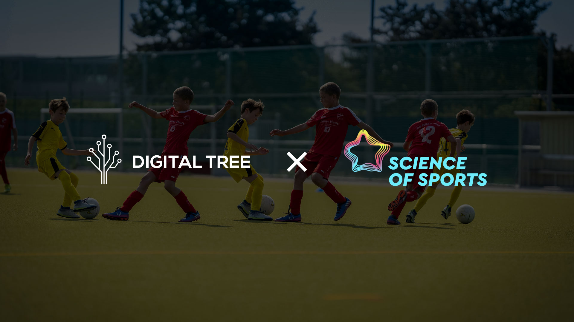 &Eta; Digital Tree &omicron;&lambda;&omicron;&kappa;&lambda;&eta;&rho;ώ&nu;&epsilon;&iota; &tau;&omicron;&nu; &epsilon;&pi;&epsilon;&nu;&delta;&upsilon;&tau;&iota;&kappa;ό &tau;&eta;&sigmaf; &kappa;ύ&kappa;&lambda;&omicron; &sigma;&tau;&eta; Science of Sports