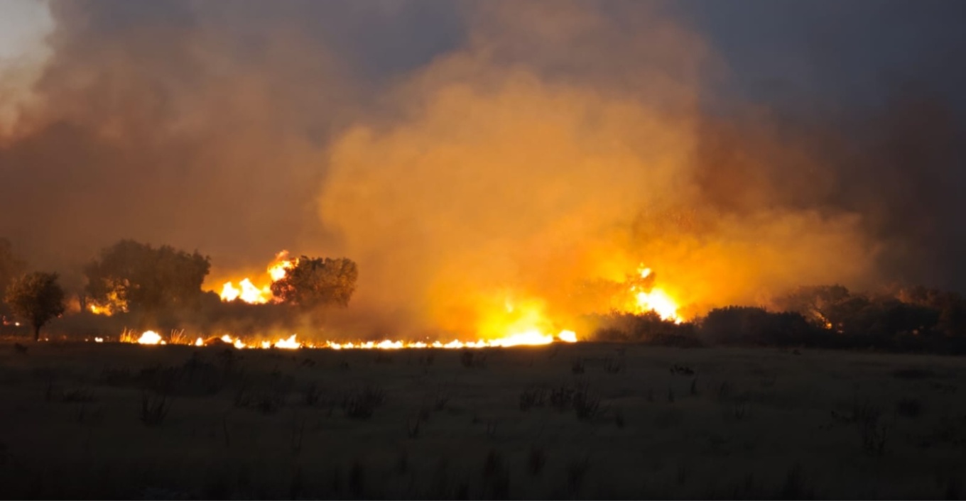 Mega-fire &sigma;&epsilon; &Alpha;&tau;&tau;&iota;&kappa;ή &kappa;&alpha;&iota; &Beta;&omicron;&iota;&omega;&tau;ί&alpha;: &Pi;ά&nu;&omega; &alpha;&pi;ό 100.000 &sigma;&tau;&rho;έ&mu;&mu;&alpha;&tau;&alpha; &sigma;&tau;ά&chi;&tau;&eta; &ndash; &Mu;ά&chi;&epsilon;&sigmaf; &mu;&epsilon; &tau;&iota;&sigmaf; &phi;&lambda;ό&gamma;&epsilon;&sigmaf; &sigma;&epsilon; &Phi;&omega;&kappa;ί&delta;&alpha; &kappa;&alpha;&iota; &Kappa;&epsilon;&phi;&alpha;&lambda;&omicron;&nu;&iota;ά (&Beta;ί&nu;&tau;&epsilon;&omicron;)