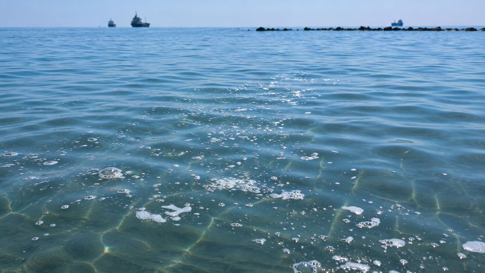 &Lambda;&epsilon;&mu;&epsilon;&sigma;ό&sigmaf;: &Sigma;&upsilon;&nu;&epsilon;&chi;ί&zeta;&omicron;&nu;&tau;&alpha;&iota; &omicron;&iota; &kappa;&alpha;&tau;&alpha;&gamma;&gamma;&epsilon;&lambda;ί&epsilon;&sigmaf; &gamma;&iota;&alpha; &rho;ύ&pi;&alpha;&nu;&sigma;&eta; &sigma;&tau;&eta; &theta;ά&lambda;&alpha;&sigma;&sigma;&alpha; &ndash; &Alpha;&nu;&alpha;&mu;έ&nu;&omicron;&nu;&tau;&alpha;&iota; &alpha;&pi;&alpha;&nu;&tau;ή&sigma;&epsilon;&iota;&sigmaf; &gamma;&iota;&alpha; &tau;&alpha; &mu;έ&tau;&rho;&alpha;