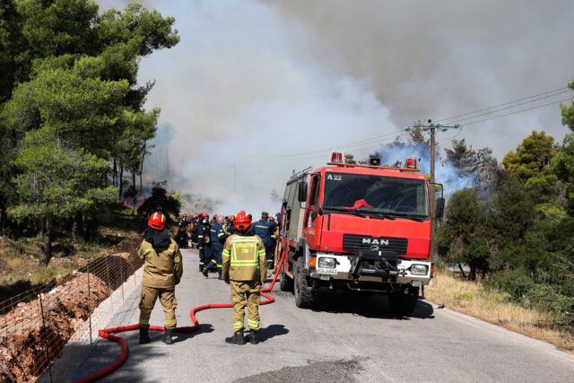 &Tau;&rho;&alpha;&gamma;&omega;&delta;ί&alpha; &sigma;&tau;&omicron; &Pi;&iota;&kappa;έ&rho;&mu;&iota;: &Alpha;&pi;&alpha;&nu;&theta;&rho;&alpha;&kappa;&omega;&mu;έ&nu;&omicron;&sigmaf; ά&nu;&delta;&rho;&alpha;&sigmaf; &epsilon;&nu;&tau;&omicron;&pi;ί&sigma;&tau;&eta;&kappa;&epsilon; &sigma;&epsilon; &alpha;&upsilon;&tau;&omicron;&kappa;ί&nu;&eta;&tau;&omicron;