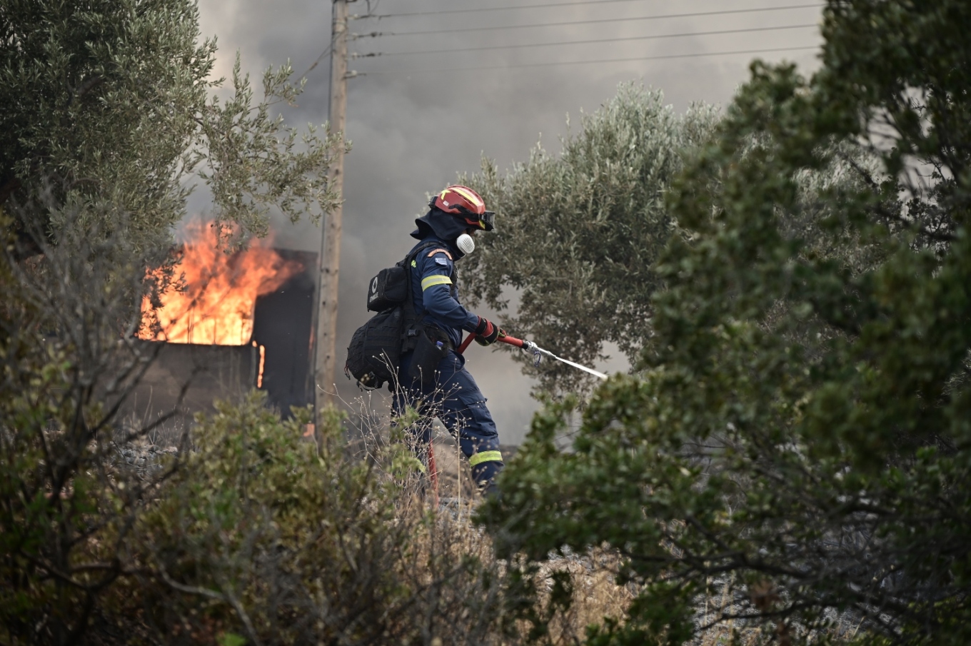 Βελτιώθηκε η εικόνα της φωτιάς στον Κουβαρά Αττικής - Πνέουν ισχυροί άνεμοι, ζημιές σε δύο επιχειρήσεις (Φώτος+Βίντεο)