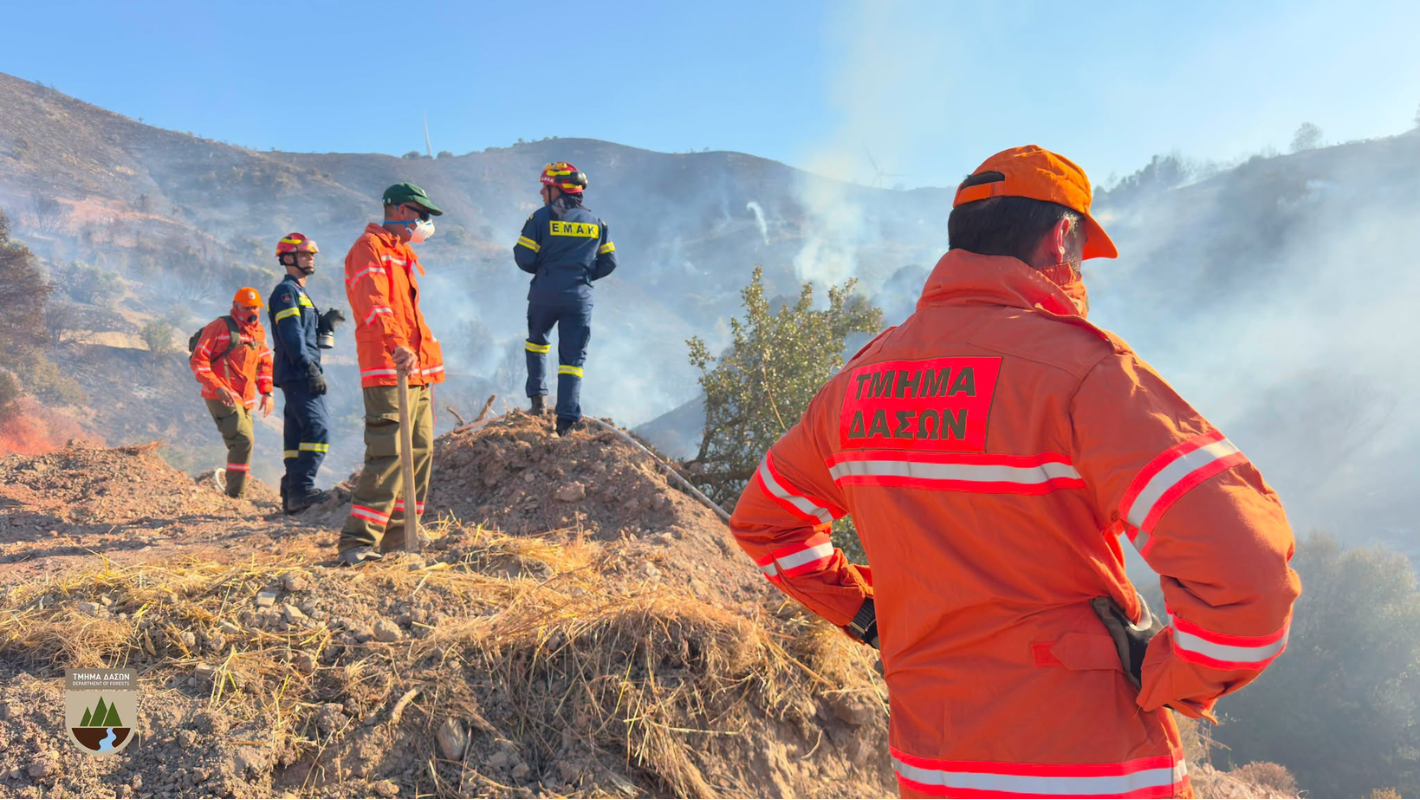 &Kappa;ό&kappa;&kappa;&iota;&nu;&omicron;&sigmaf; &Sigma;&upsilon;&nu;&alpha;&gamma;&epsilon;&rho;&mu;ό&sigmaf;&raquo; &alpha;&pi;ό &tau;&omicron; &Tau;&mu;ή&mu;&alpha; &Delta;&alpha;&sigma;ώ&nu;