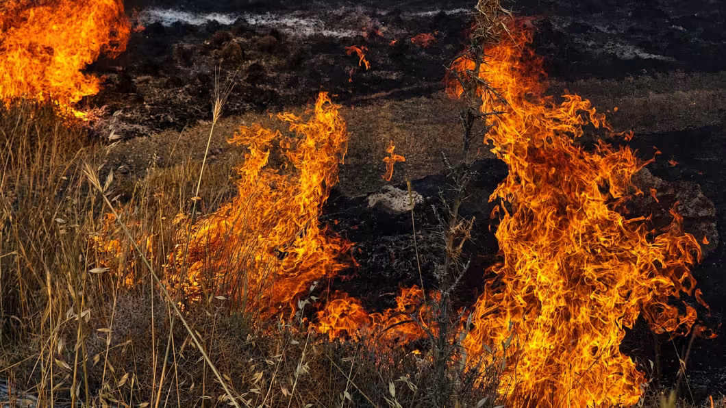 Πυρκαγιά σε δασική περιοχή στην κατεχόμενη Τρυπημένη
